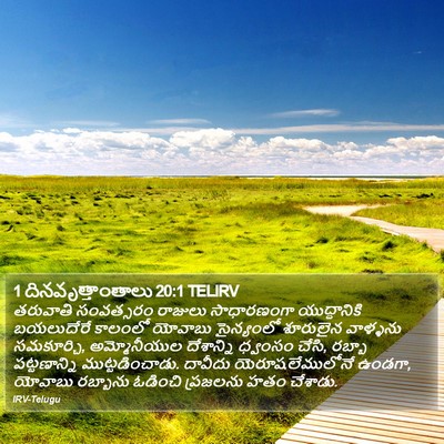 1 దినవృత్తాంతాలు 20:1 TELIRV Bible Verse Image