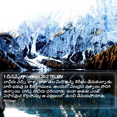 1 దినవృత్తాంతాలు 20:2 TELIRV Bible Verse Image