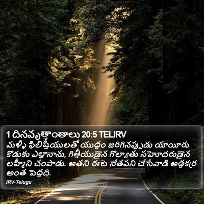 1 దినవృత్తాంతాలు 20:5 TELIRV Bible Verse Image