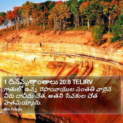1 దినవృత్తాంతాలు 20:8 TELIRV Bible Verse Image