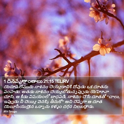 1 దినవృత్తాంతాలు 21:15 TELIRV Bible Verse Image