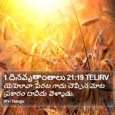 1 దినవృత్తాంతాలు 21:19 TELIRV Bible Verse Image