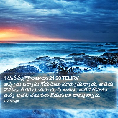 1 దినవృత్తాంతాలు 21:20 TELIRV Bible Verse Image