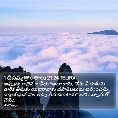 1 దినవృత్తాంతాలు 21:24 TELIRV Bible Verse Image