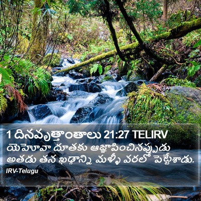 1 దినవృత్తాంతాలు 21:27 TELIRV Bible Verse Image