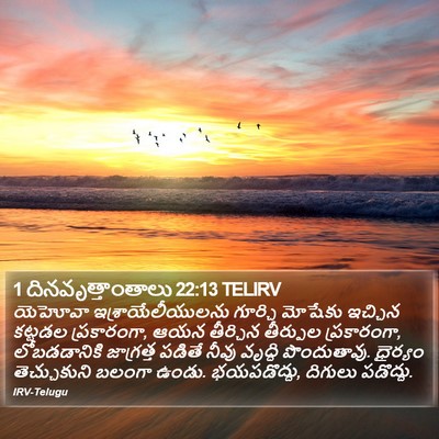 1 దినవృత్తాంతాలు 22:13 TELIRV Bible Verse Image