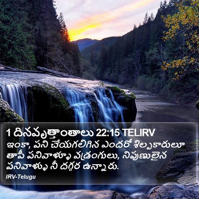 1 దినవృత్తాంతాలు 22:15 TELIRV Bible Verse Image