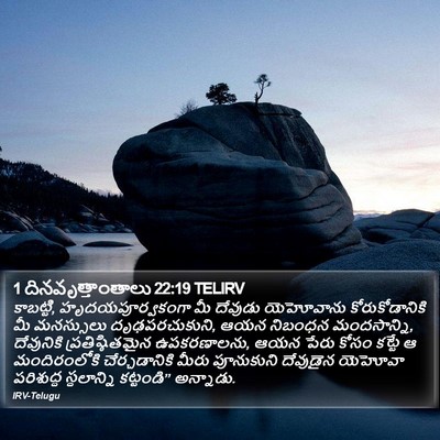 1 దినవృత్తాంతాలు 22:19 TELIRV Bible Verse Image