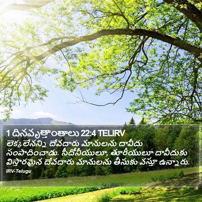 1 దినవృత్తాంతాలు 22:4 TELIRV Bible Verse Image