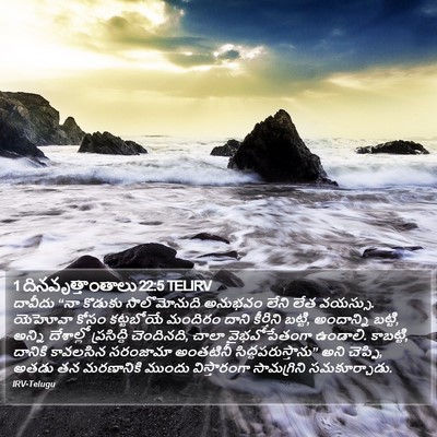 1 దినవృత్తాంతాలు 22:5 TELIRV Bible Verse Image