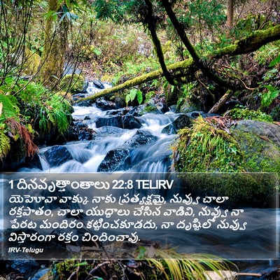1 దినవృత్తాంతాలు 22:8 TELIRV Bible Verse Image