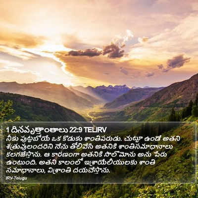 1 దినవృత్తాంతాలు 22:9 TELIRV Bible Verse Image