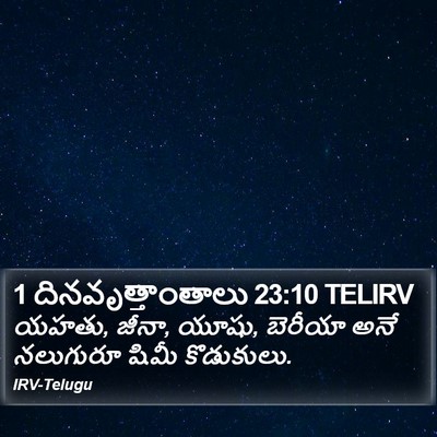 1 దినవృత్తాంతాలు 23:10 TELIRV Bible Verse Image