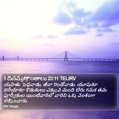 1 దినవృత్తాంతాలు 23:11 TELIRV Bible Verse Image