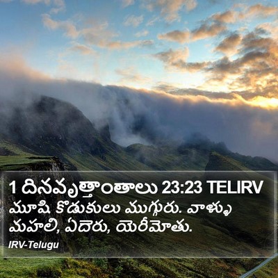 1 దినవృత్తాంతాలు 23:23 TELIRV Bible Verse Image