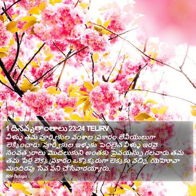 1 దినవృత్తాంతాలు 23:24 TELIRV Bible Verse Image