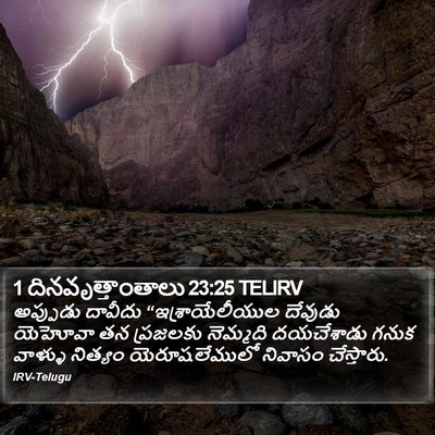 1 దినవృత్తాంతాలు 23:25 TELIRV Bible Verse Image