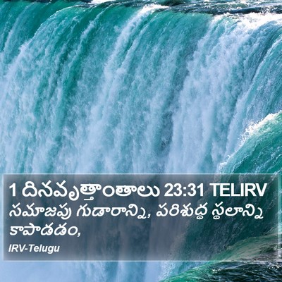 1 దినవృత్తాంతాలు 23:31 TELIRV Bible Verse Image
