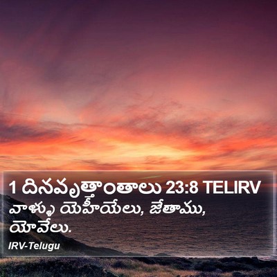 1 దినవృత్తాంతాలు 23:8 TELIRV Bible Verse Image