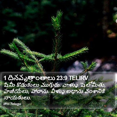 1 దినవృత్తాంతాలు 23:9 TELIRV Bible Verse Image