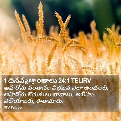 1 దినవృత్తాంతాలు 24:1 TELIRV Bible Verse Image