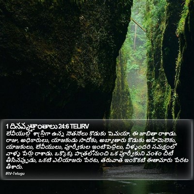 1 దినవృత్తాంతాలు 24:6 TELIRV Bible Verse Image