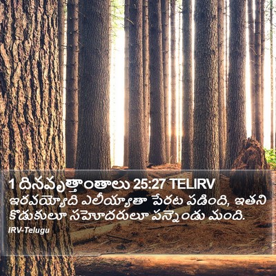 1 దినవృత్తాంతాలు 25:27 TELIRV Bible Verse Image