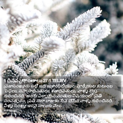 1 దినవృత్తాంతాలు 27:1 TELIRV Bible Verse Image