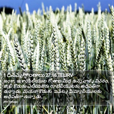 1 దినవృత్తాంతాలు 27:16 TELIRV Bible Verse Image