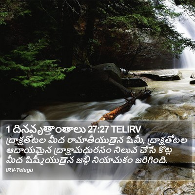 1 దినవృత్తాంతాలు 27:27 TELIRV Bible Verse Image
