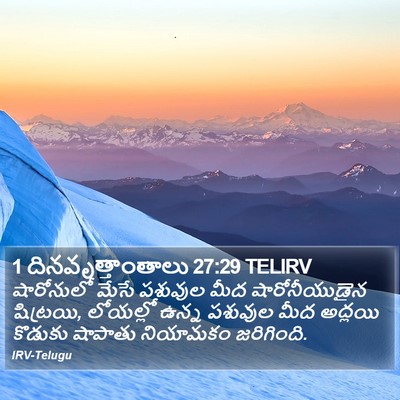 1 దినవృత్తాంతాలు 27:29 TELIRV Bible Verse Image