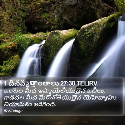 1 దినవృత్తాంతాలు 27:30 TELIRV Bible Verse Image