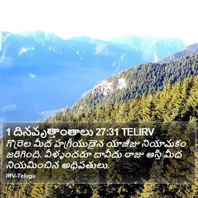 1 దినవృత్తాంతాలు 27:31 TELIRV Bible Verse Image
