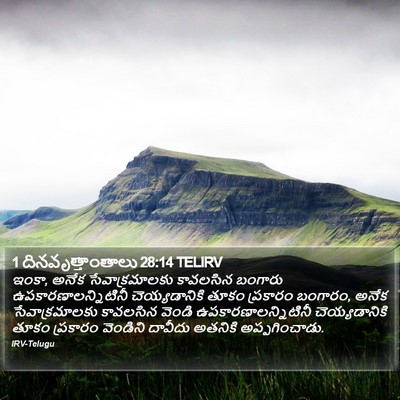 1 దినవృత్తాంతాలు 28:14 TELIRV Bible Verse Image