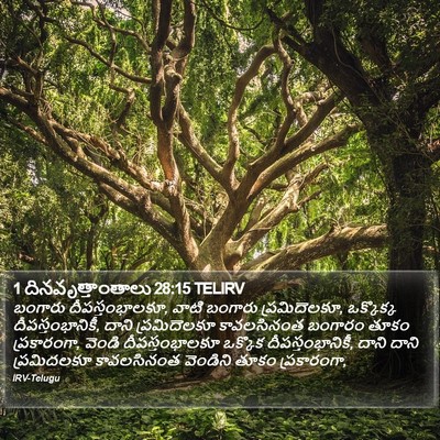1 దినవృత్తాంతాలు 28:15 TELIRV Bible Verse Image