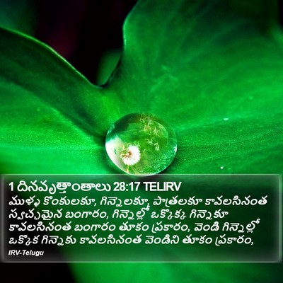 1 దినవృత్తాంతాలు 28:17 TELIRV Bible Verse Image