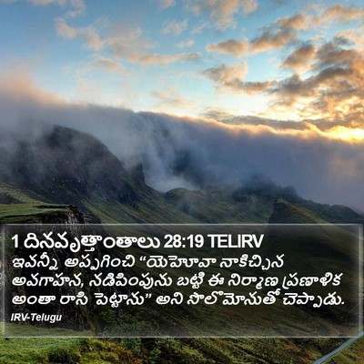 1 దినవృత్తాంతాలు 28:19 TELIRV Bible Verse Image