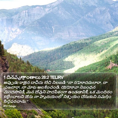 1 దినవృత్తాంతాలు 28:2 TELIRV Bible Verse Image