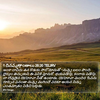 1 దినవృత్తాంతాలు 28:20 TELIRV Bible Verse Image