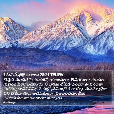 1 దినవృత్తాంతాలు 28:21 TELIRV Bible Verse Image