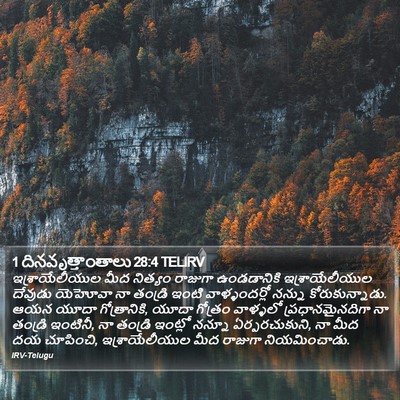 1 దినవృత్తాంతాలు 28:4 TELIRV Bible Verse Image