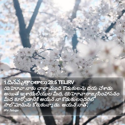1 దినవృత్తాంతాలు 28:5 TELIRV Bible Verse Image