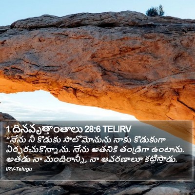 1 దినవృత్తాంతాలు 28:6 TELIRV Bible Verse Image