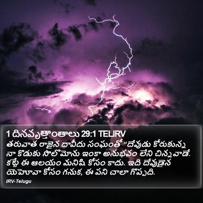 1 దినవృత్తాంతాలు 29:1 TELIRV Bible Verse Image