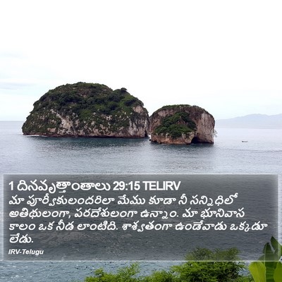 1 దినవృత్తాంతాలు 29:15 TELIRV Bible Verse Image