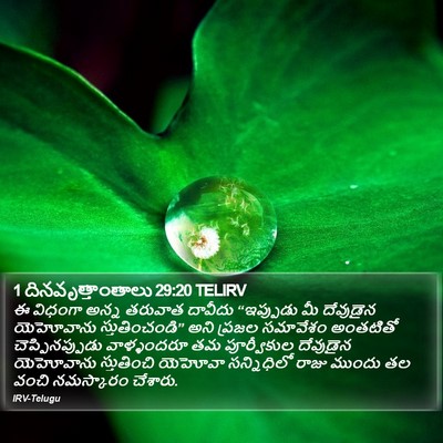 1 దినవృత్తాంతాలు 29:20 TELIRV Bible Verse Image