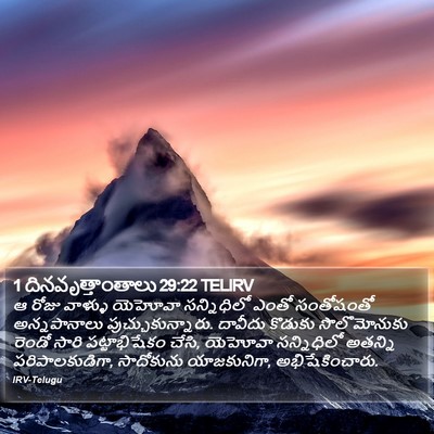 1 దినవృత్తాంతాలు 29:22 TELIRV Bible Verse Image