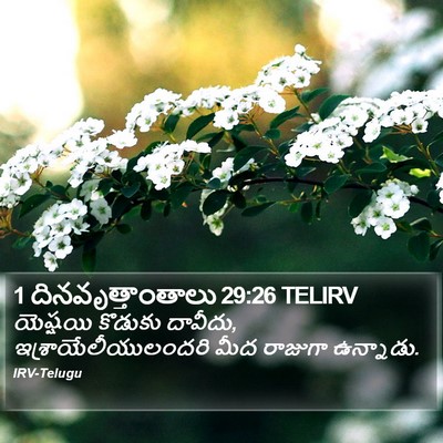 1 దినవృత్తాంతాలు 29:26 TELIRV Bible Verse Image