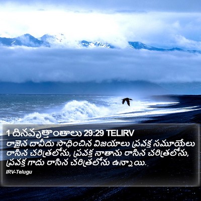 1 దినవృత్తాంతాలు 29:29 TELIRV Bible Verse Image