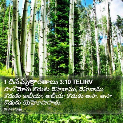 1 దినవృత్తాంతాలు 3:10 TELIRV Bible Verse Image
